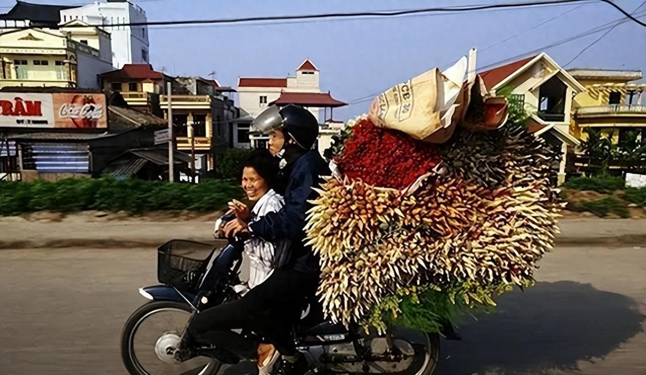 stake-回国后我才敢说：越南是我去过的所有国家中，最被低估的